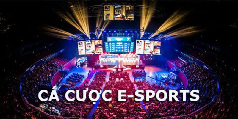 Game cá cược Esport trực tuyến mới mẻ và hấp dẫn