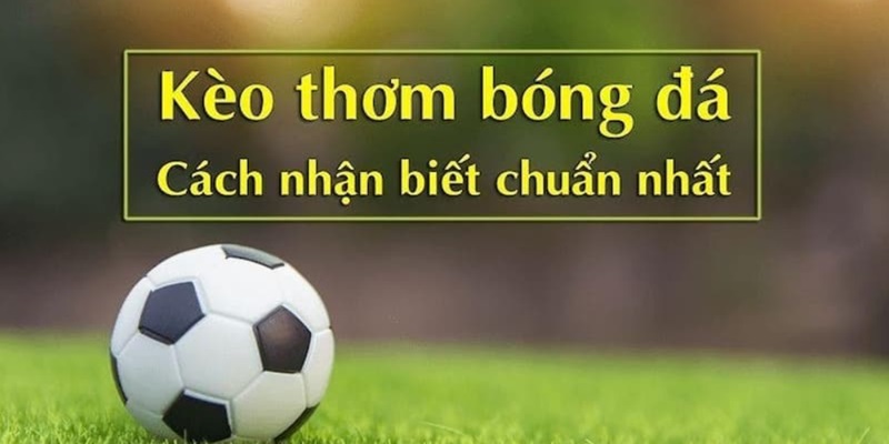 Tìm hiểu về kèo thơm trong cá cược thể thao